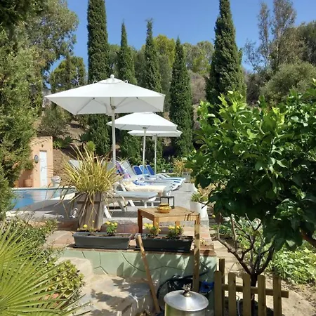 Bed & Breakfast Vista De La Roca